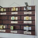 виброфлекс